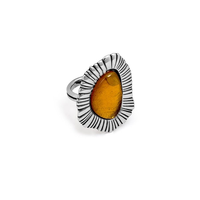 ARNICA