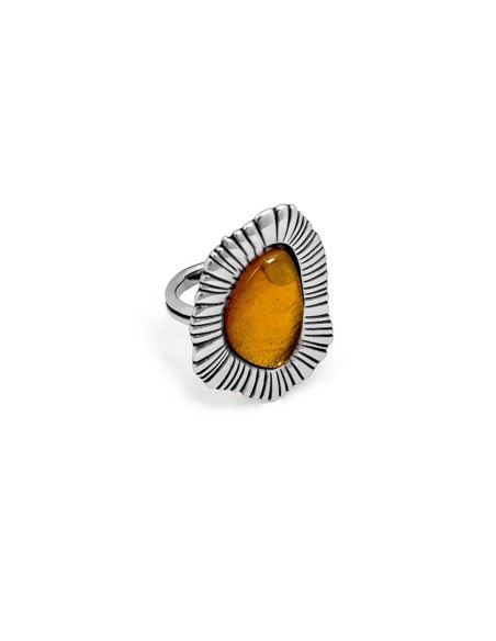 ARNICA