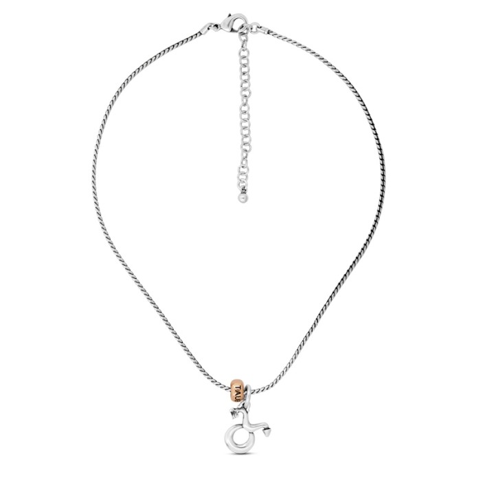 COLLAR TAURO  CICLÓN HOR800