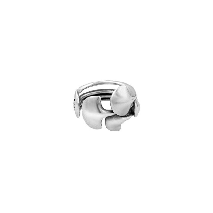 Anillo Personal Gingko Biloba