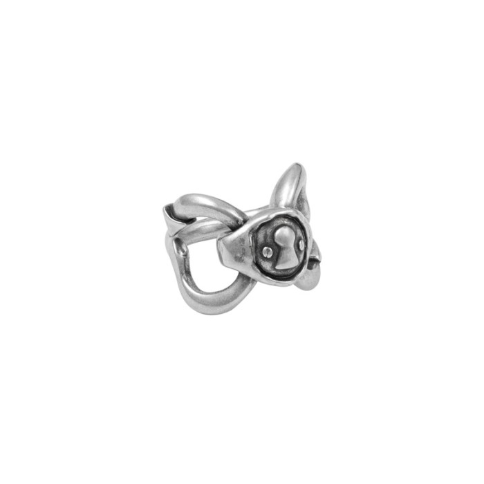 Anillo Cerradura