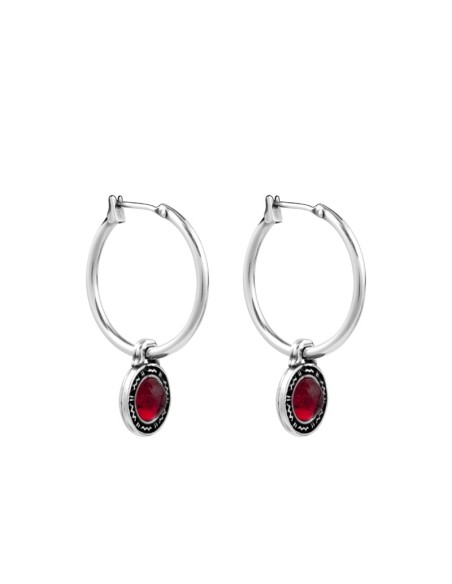 Pendientes Alebrije