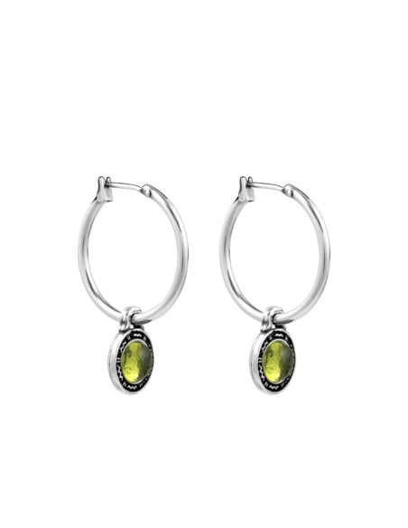 Pendientes Alebrije