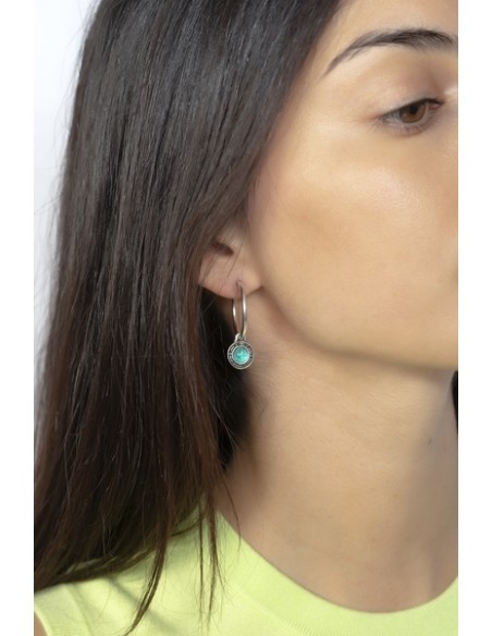 Pendientes Alebrije