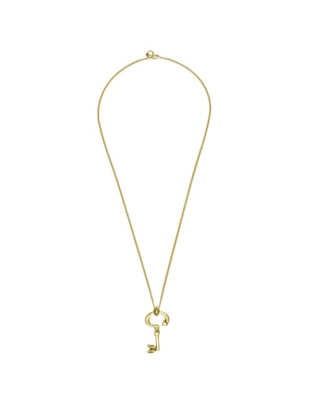 Collar Flellave oro