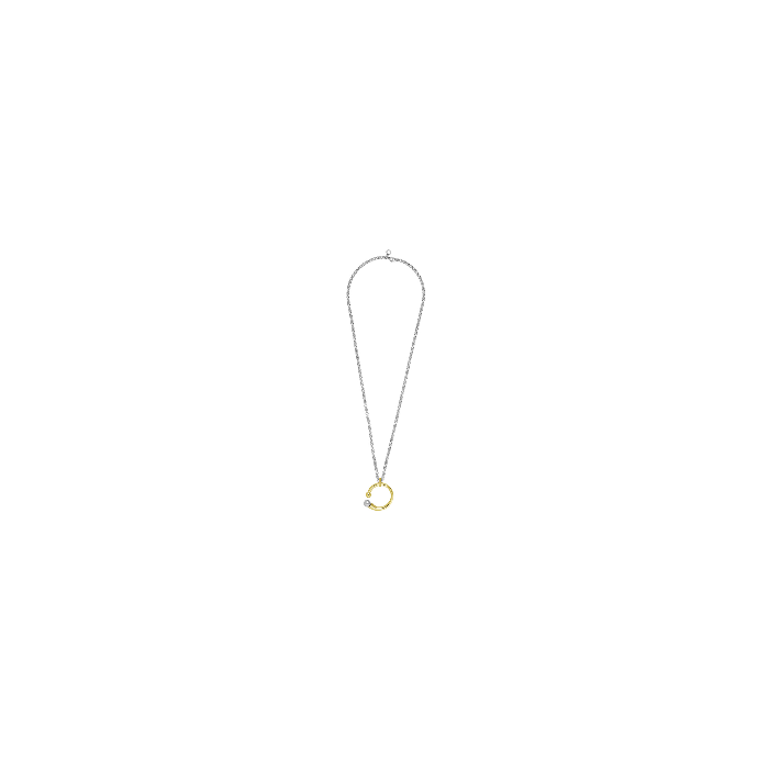 Collar Camaleónica oro