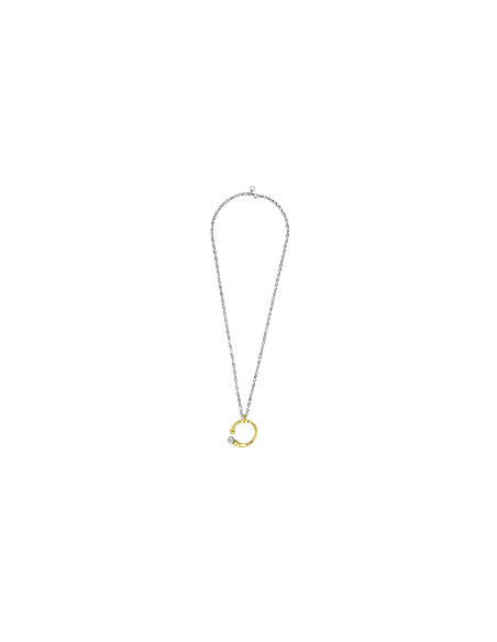 Collar Camaleónica oro